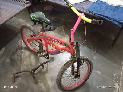 Lion King Bicycle Made in China