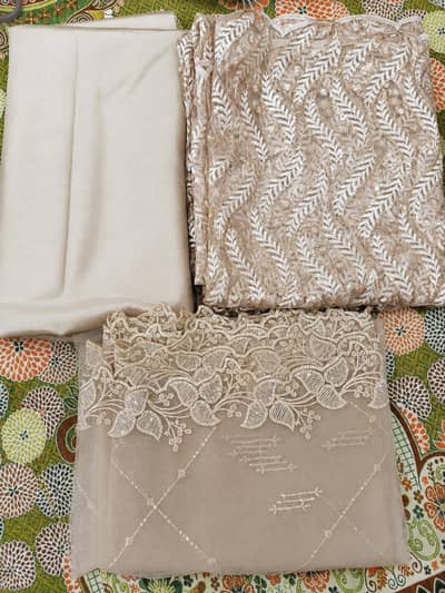 Elegant Embroidered Net Suit – 3 Piece