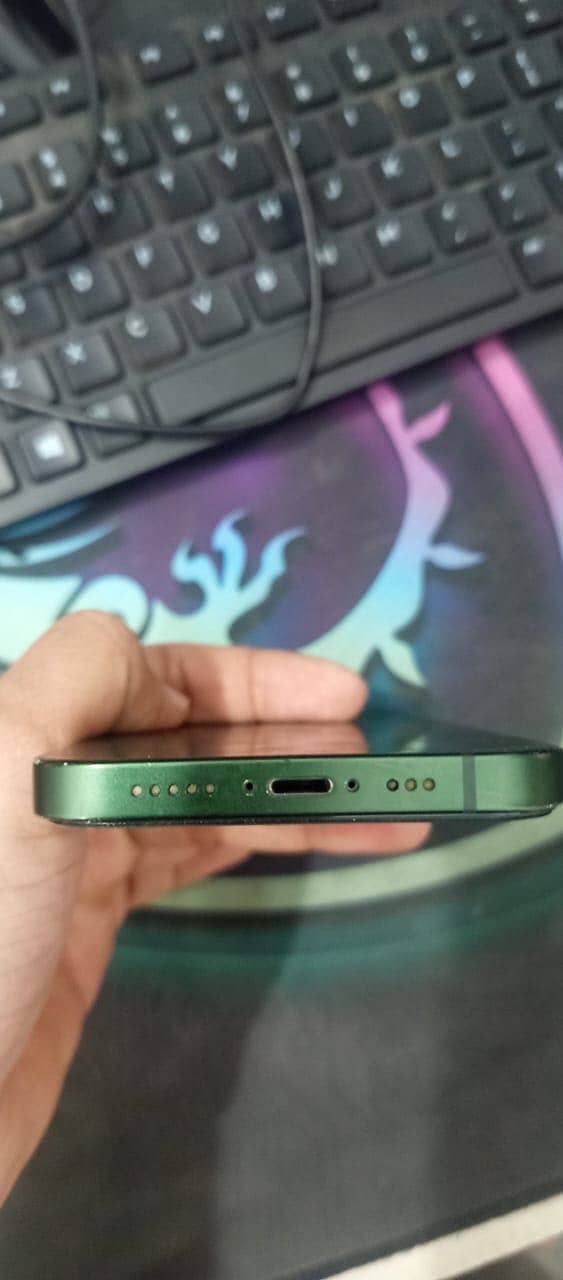Apple iPhone 13 0