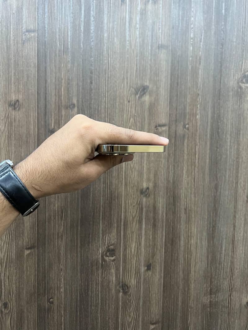 Apple iPhone 13 Pro Max 1