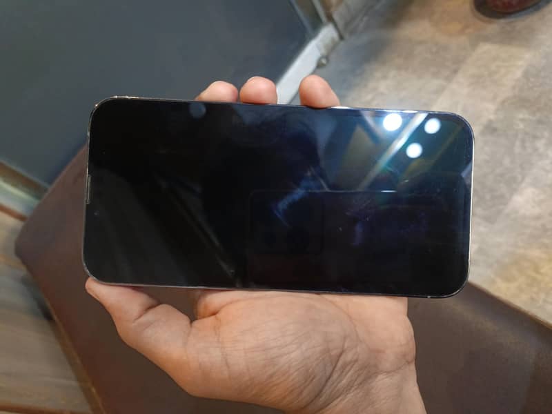 Apple iPhone 13 Pro Max 1