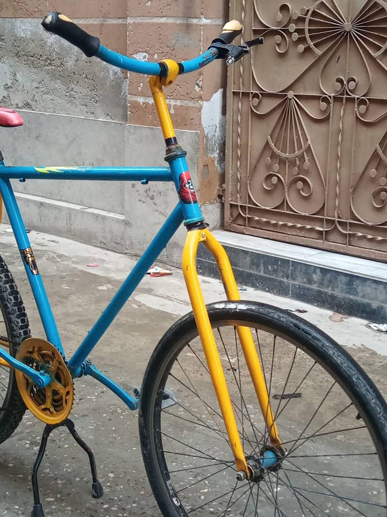 Phoenix cycle 4