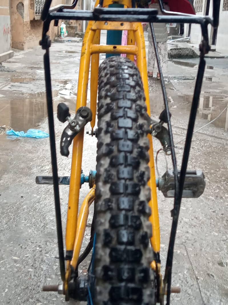 Phoenix cycle 5