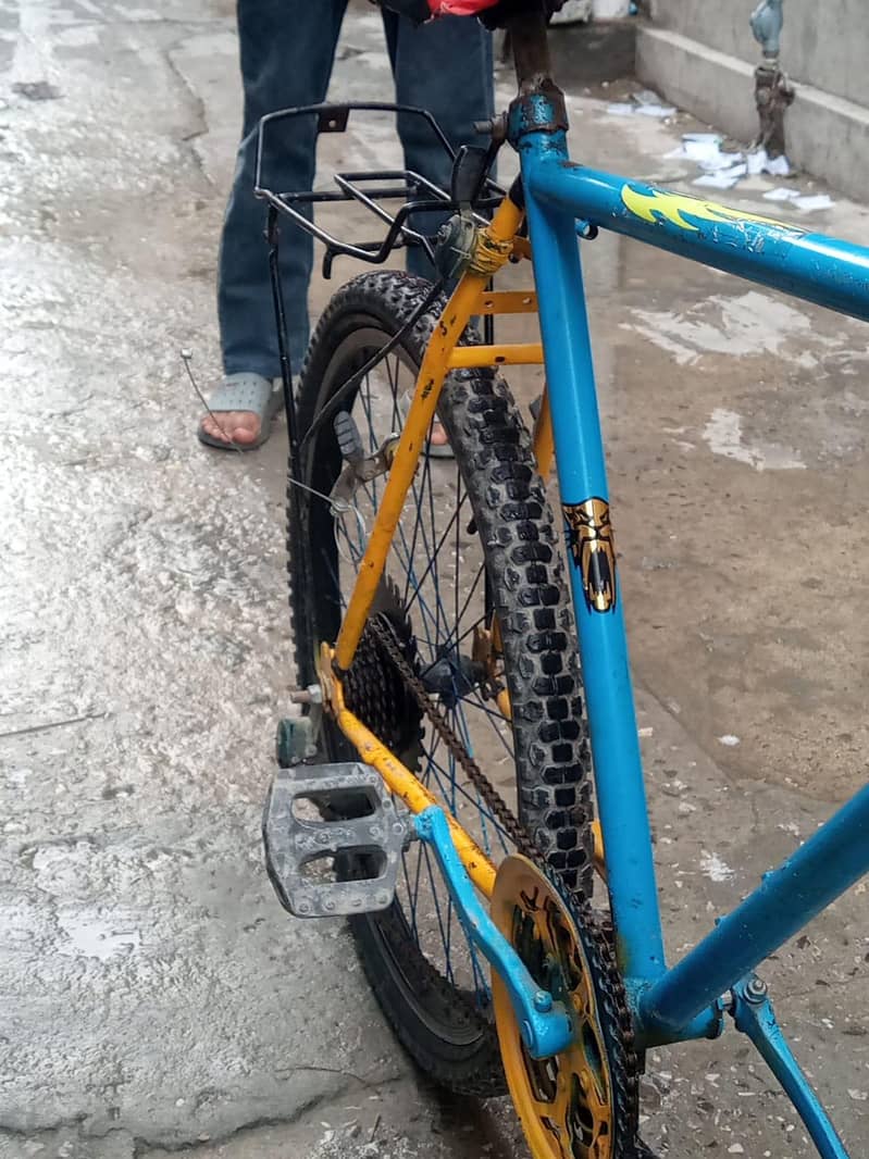 Phoenix cycle 6