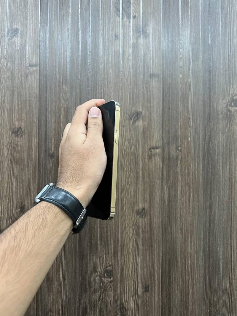Apple iPhone 13 Pro Max 2