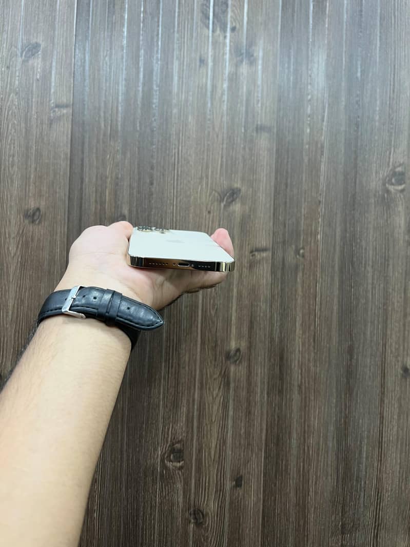 Apple iPhone 13 Pro Max 3
