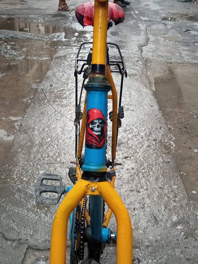 Phoenix cycle 3