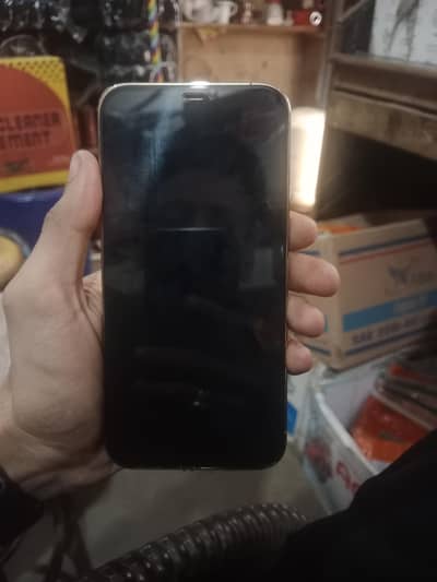Apple iPhone 12 Pro Max