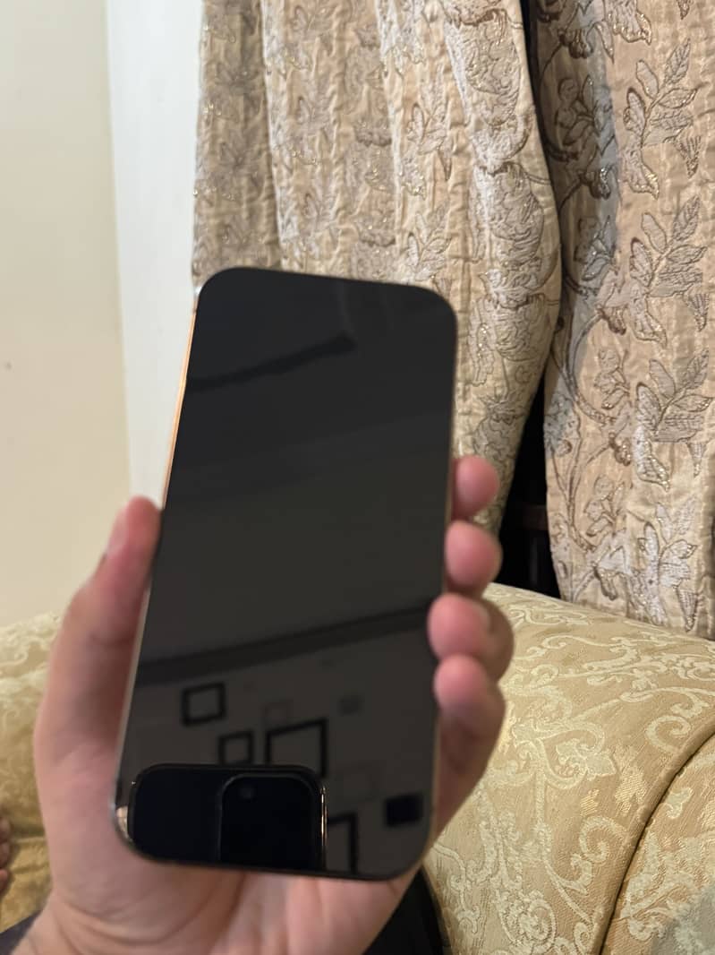 Apple iPhone 16 Pro 1