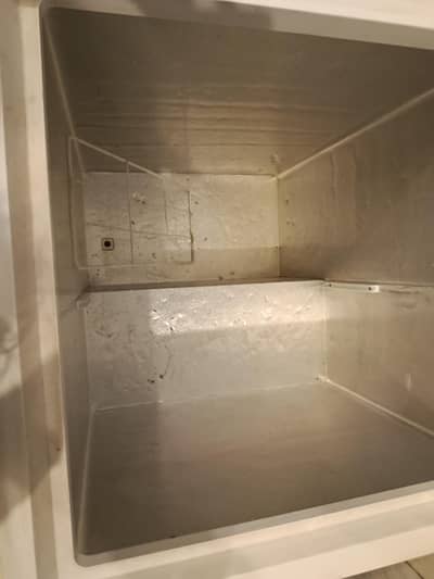 hair two in one , fridge &freezer in good condition