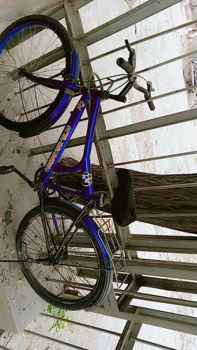 best bicycle