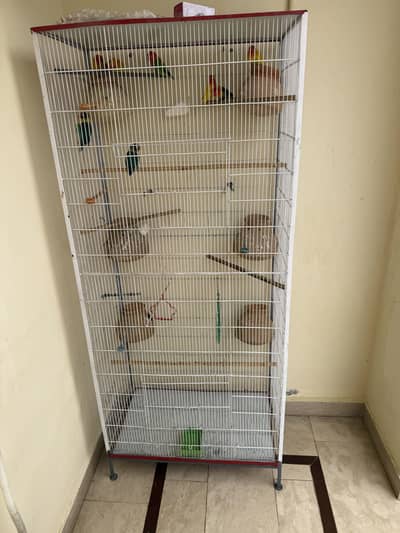 Beautiful & Strong Cage for Sale