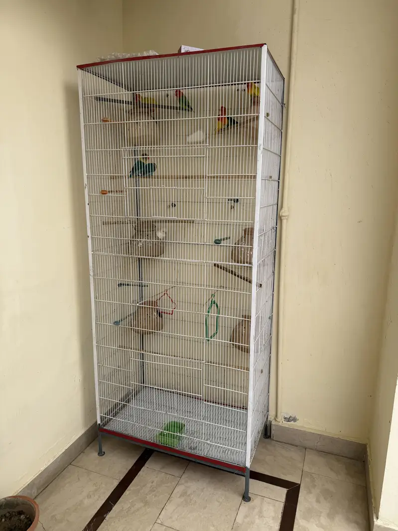 Beautiful & Strong Cage for Sale — photo 2
