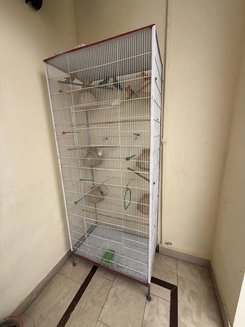Beautiful & Strong Cage for Sale — photo 3