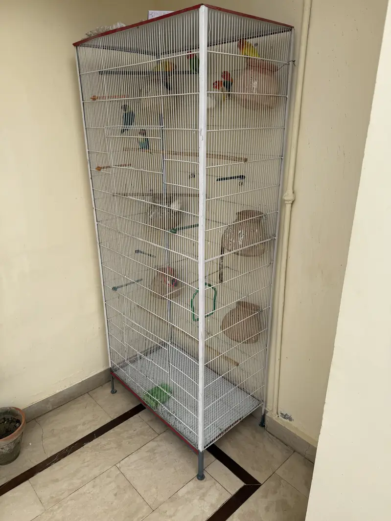 Beautiful & Strong Cage for Sale — photo 4
