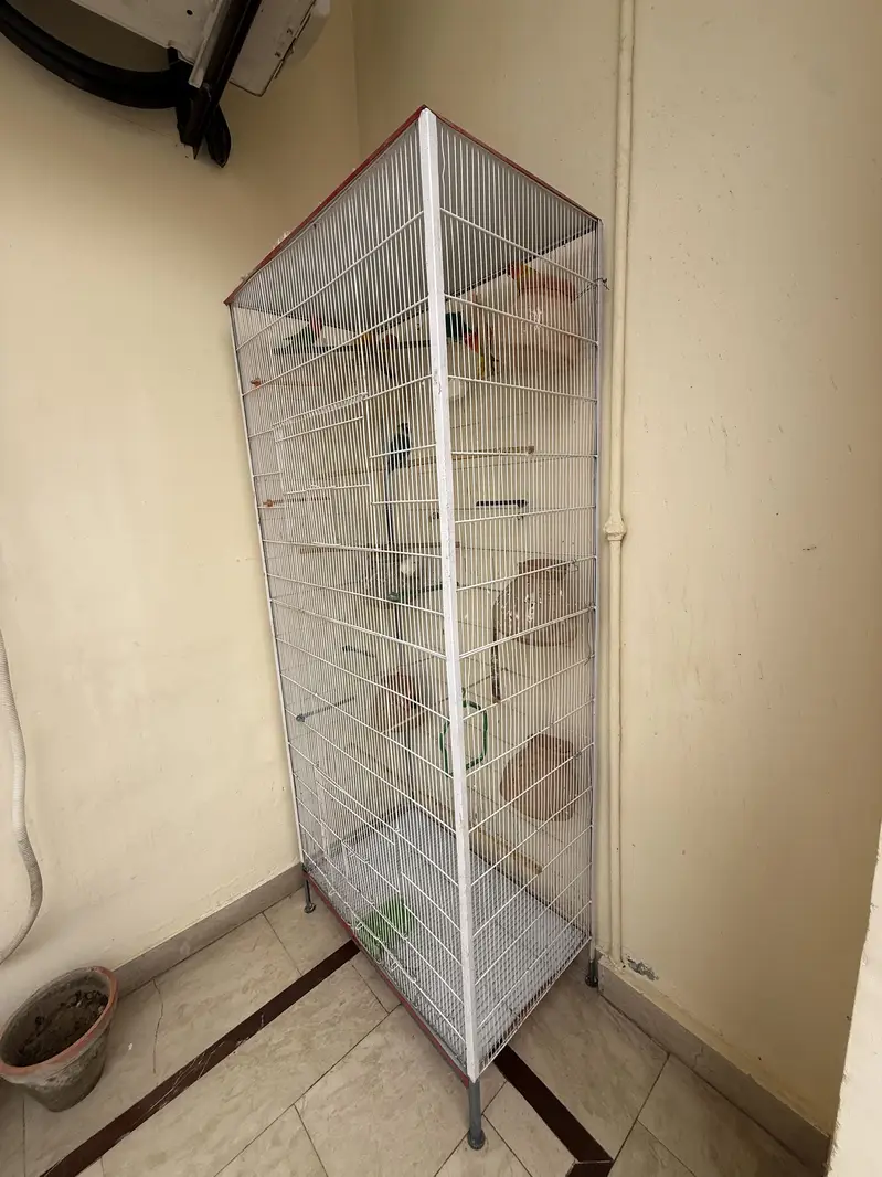 Beautiful & Strong Cage for Sale — photo 5