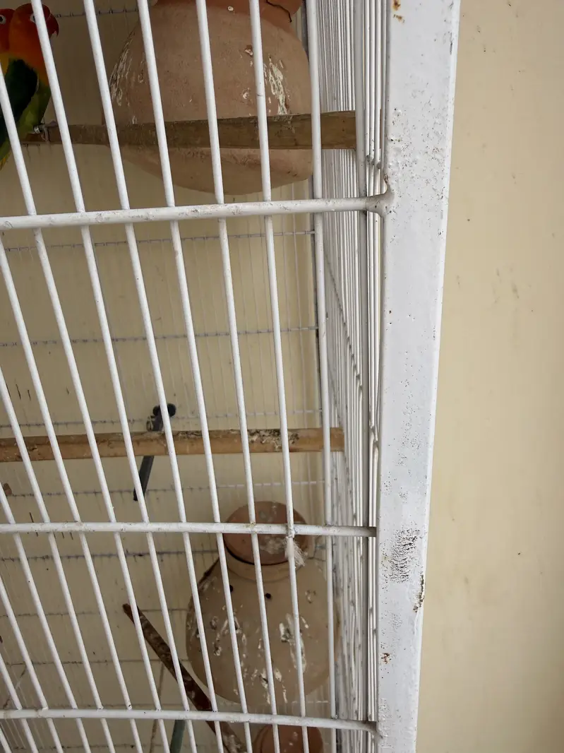 Beautiful & Strong Cage for Sale — photo 6