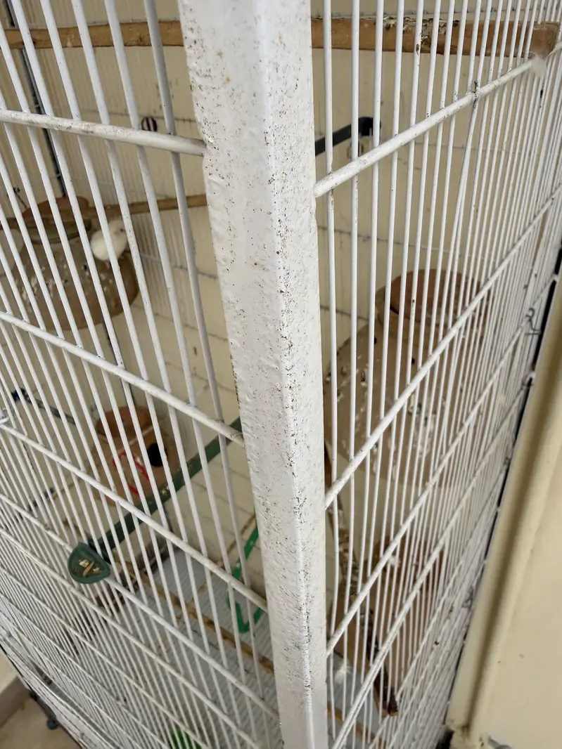 Beautiful & Strong Cage for Sale — photo 7