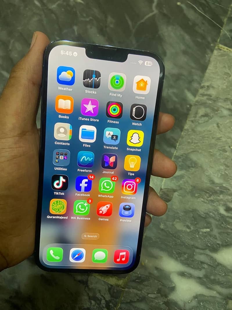 Apple iPhone 13 Pro Max 1