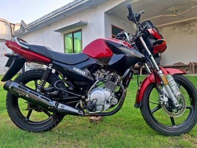 Yamaha ybr 125 2019
