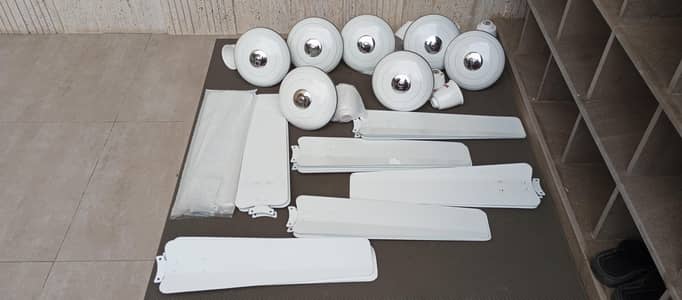 Royal Fans - Ceiling Fans