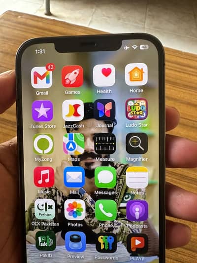 Apple iPhone 12 Pro Max
