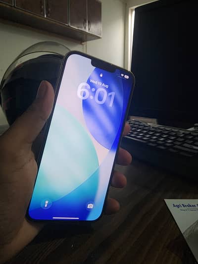 Apple iPhone 13 Pro Max