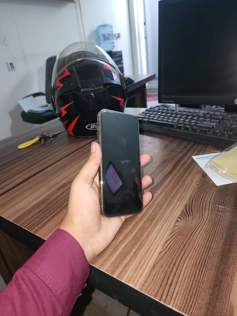 Apple iPhone 13 Pro Max 1