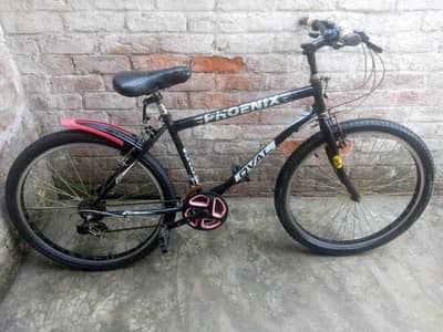 Cycle