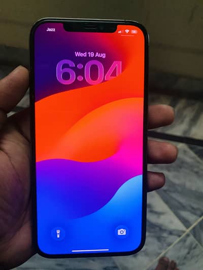 Apple iPhone 12 Pro Max