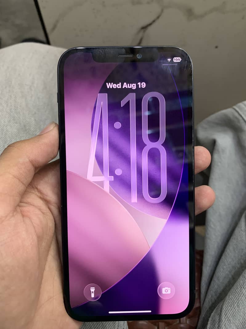 Apple iPhone 12 1