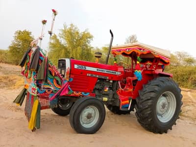 Massey Ferguson 385