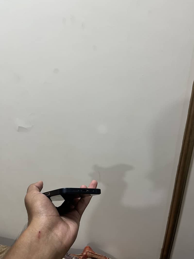 Apple iPhone 12 1