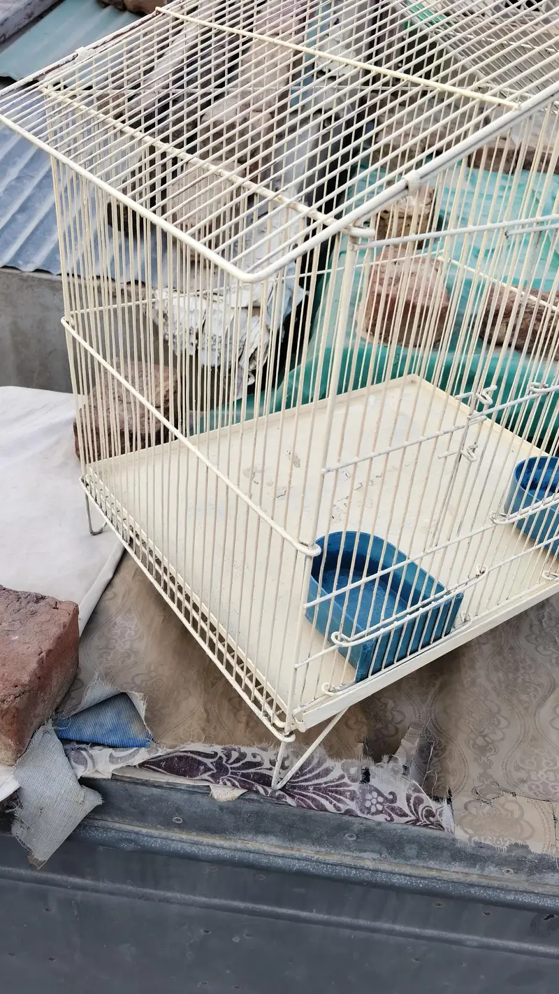 cage for sale — photo 3