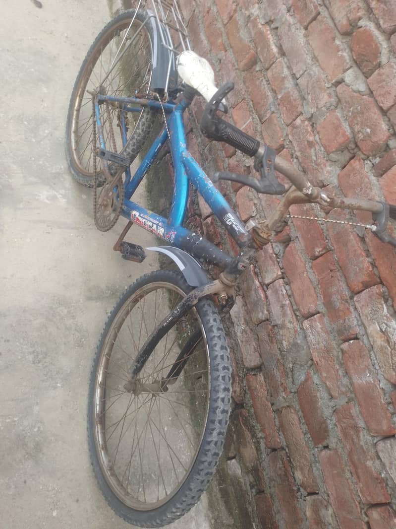  Bicycle 1
