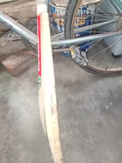 Gray Nicolls