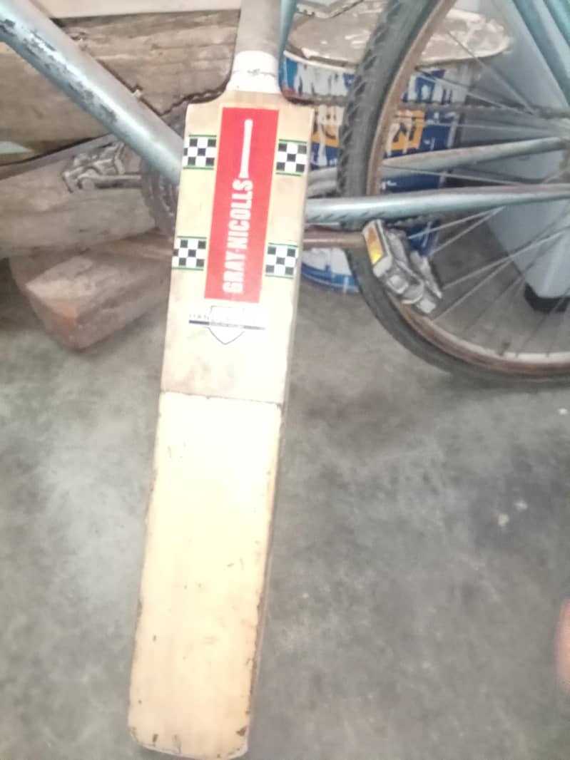 Gray Nicolls 1