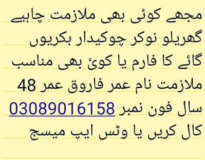 any job wanted