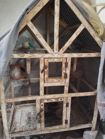 Love birds(03 paiss with baby) with wood cage for sale 10 hazar