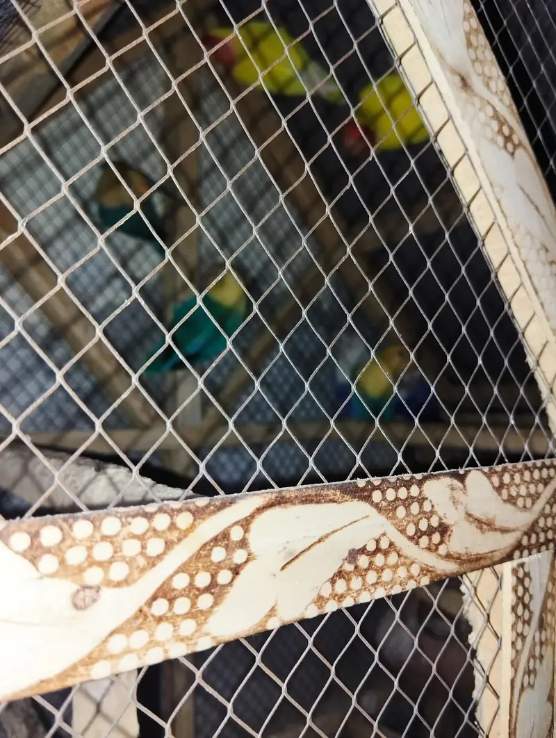 Love birds(03 paiss with baby) with wood cage for sale 10 hazar — photo 2