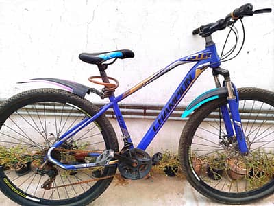 Champion MTB frame mountain bicycle