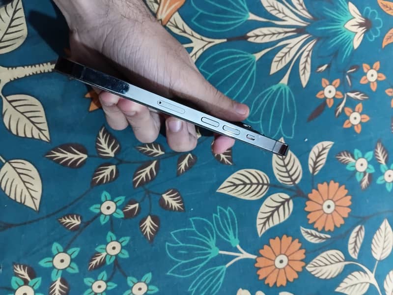 Apple iPhone 13 pro 2