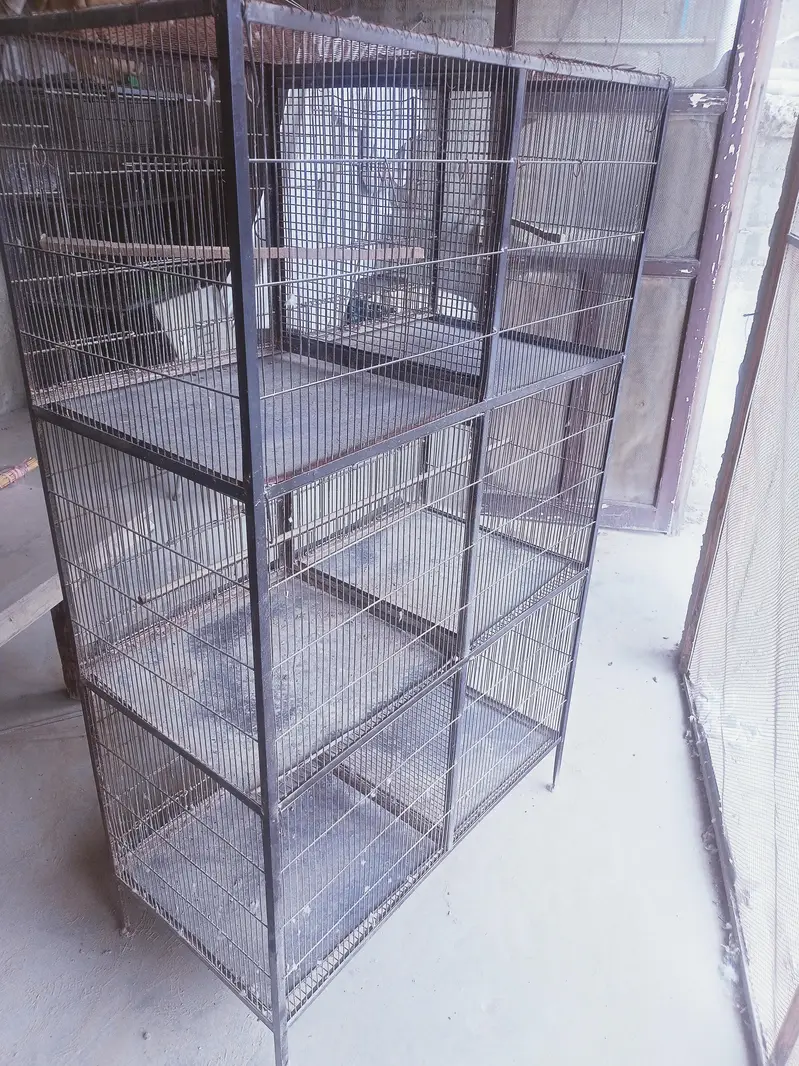cage for parrots — photo 4