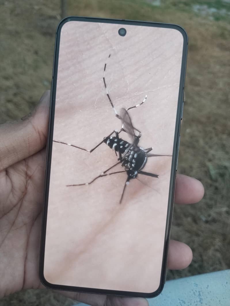 Google Pixel 8 3