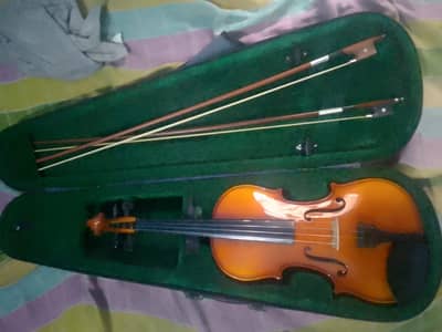 New Violin only with 2 Bows.