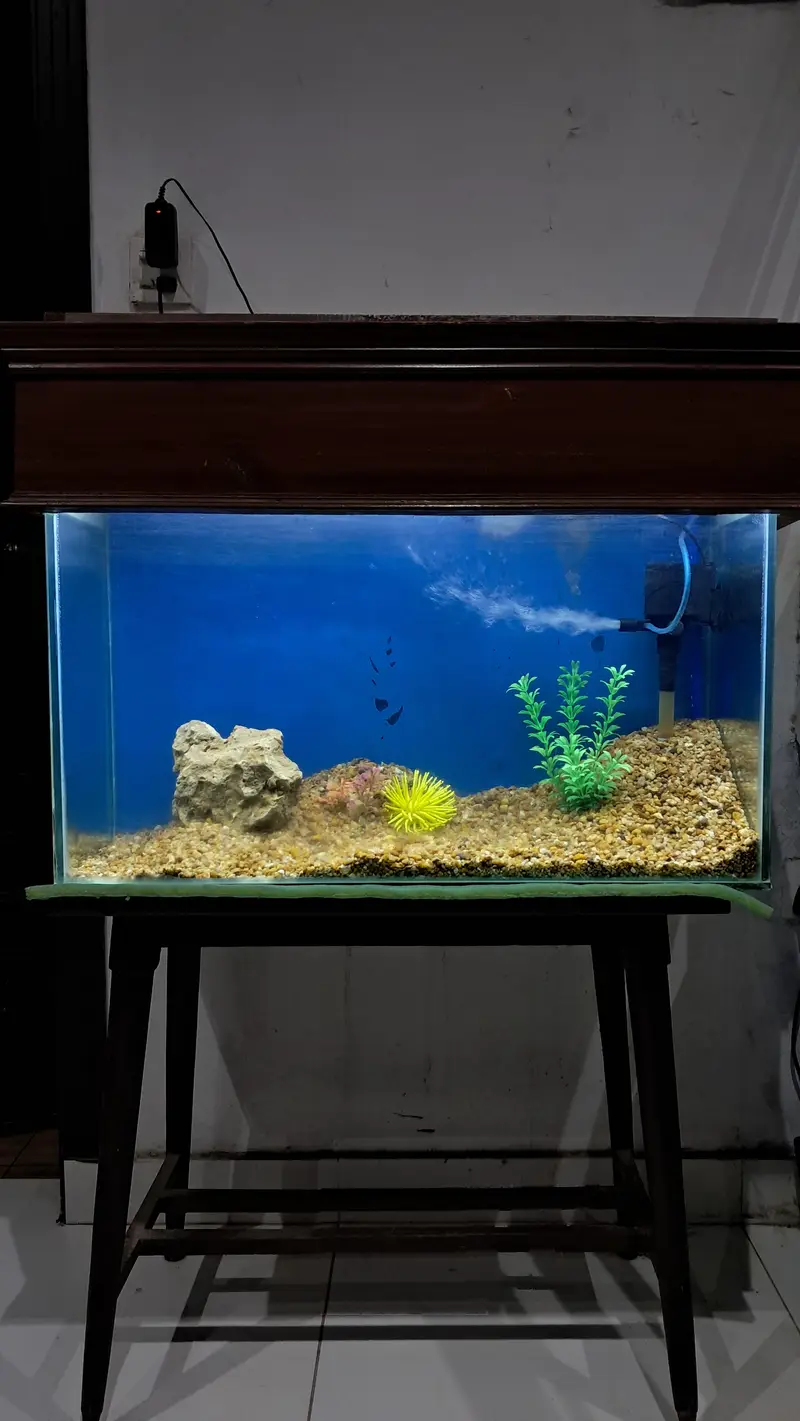 Aquarium with sleek minimal design table