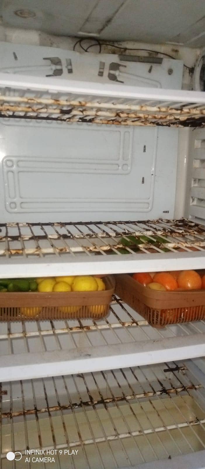 Pel Fridge/Pel Rafrigrator/used fridge/pel used fridge for sale 3
