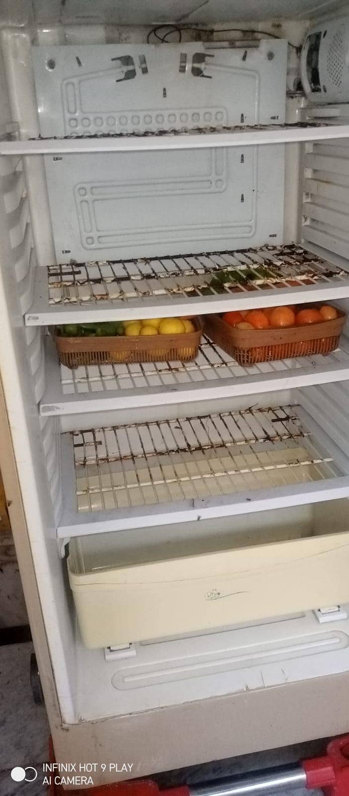 Pel Fridge/Pel Rafrigrator/used fridge/pel used fridge for sale 4