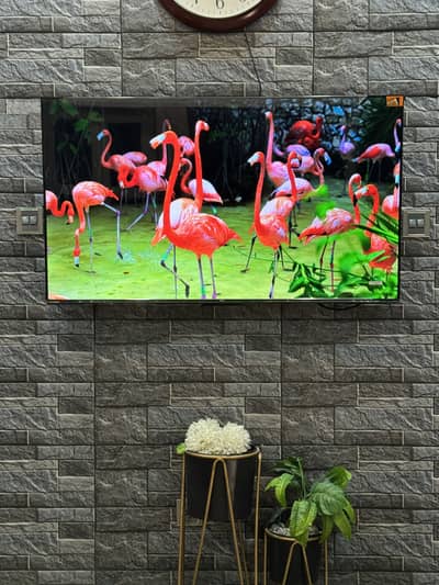 TCL P635 50 Inches HD Display Smart TV