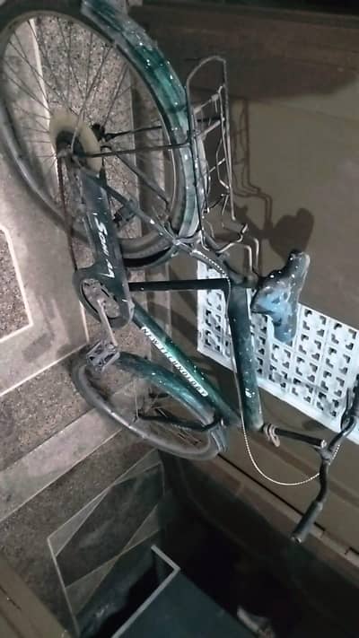 bicycles